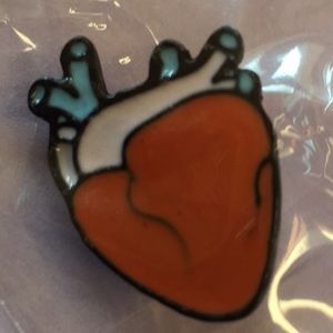 New Anatomical Cartoon Heart Pin